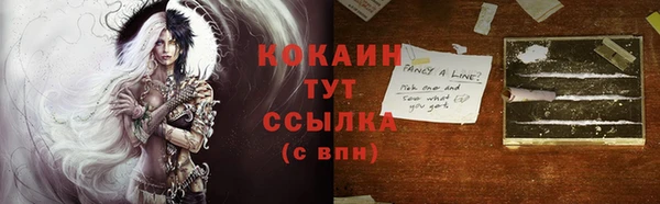 гидра Горняк
