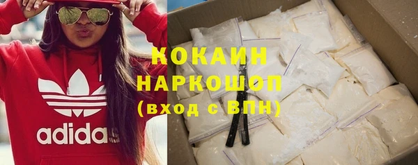ГАЛЛЮЦИНОГЕННЫЕ ГРИБЫ Вязники