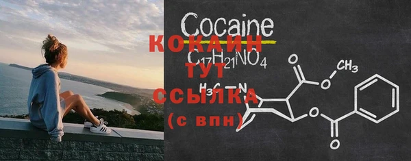 прущие крисы Вяземский
