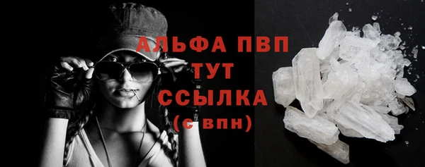 прущие крисы Вяземский