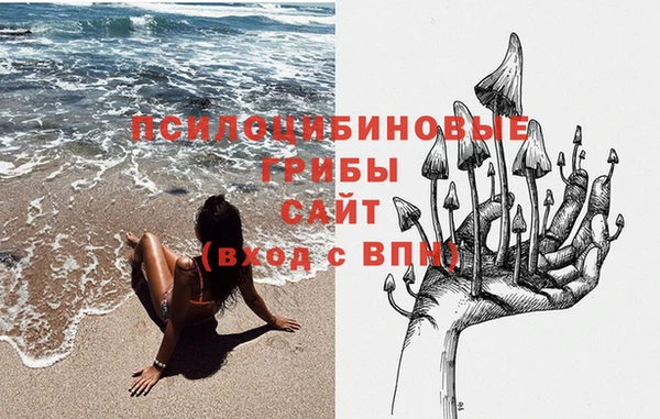 2c-b Горнозаводск