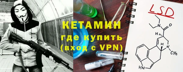 гидра Горняк