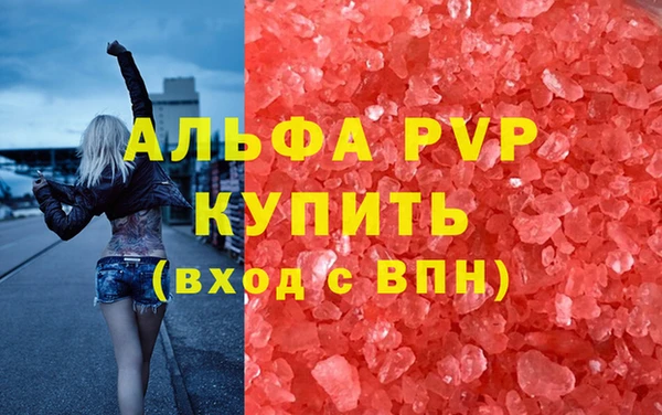 ГАЛЛЮЦИНОГЕННЫЕ ГРИБЫ Вязники