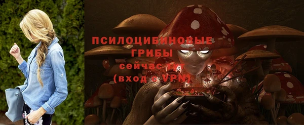 ГАЛЛЮЦИНОГЕННЫЕ ГРИБЫ Вязники